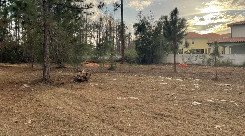 Land clearing equipment removing trees and heavy vegetation from a Central Florida site to prepare open land for construction, farming, or future property development.