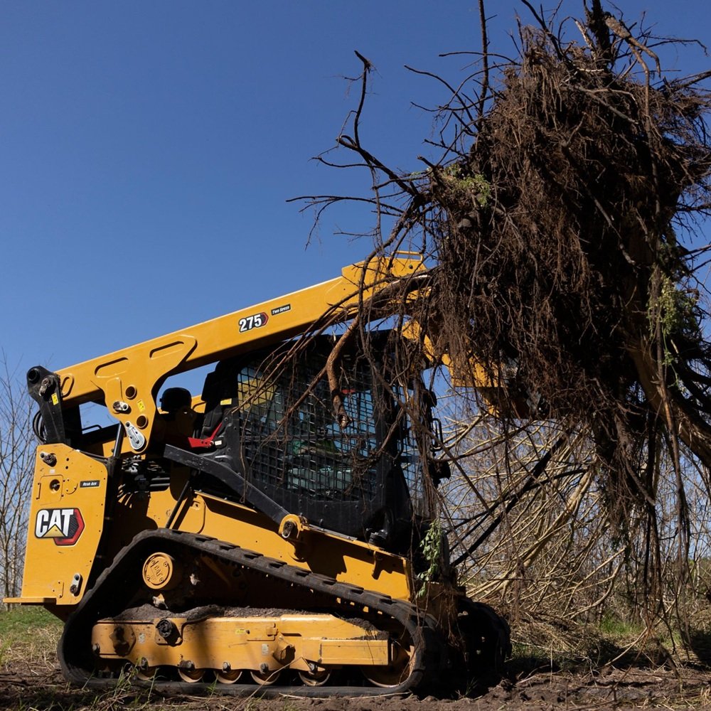 Crew clearing fallen tree limbs from storm-damaged driveway after severe weather